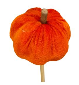 Calabaza naranja en palo 50 - CALNARPAL