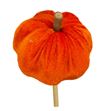 Calabaza naranja en palo 50 - CALNARPAL1