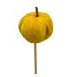 Calabaza amarilla en palo 50 - CALAMAPAL