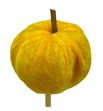 Calabaza amarilla en palo 50 - CALAMAPAL1