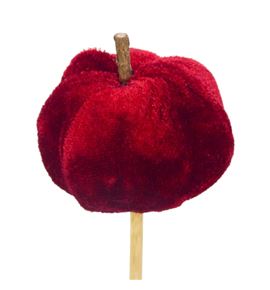 Calabaza roja en palo 50 - CALROJPAL