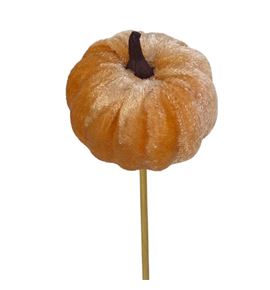 Calabaza melocoton en palo 50 - CALMELPAL