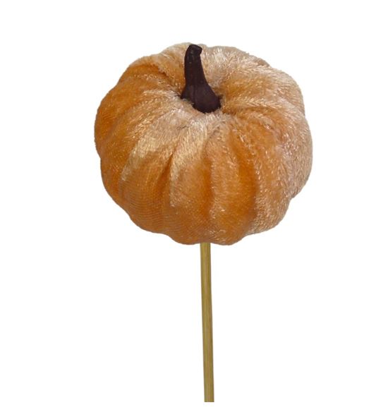 Calabaza melocoton en palo 50 - CALMELPAL