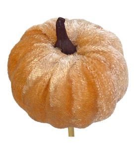 Calabaza melocoton en palo 50 - CALMELPAL