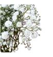 Gyps ophelia 60 x 10t - GYPXLE2