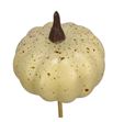 Calabaza blanca en palo 60 - CALBLAPAL1