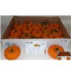 Calabaza manderin x15 - CALMAN15