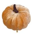 Calabaza melocoton en palo 50 - CALMELPAL1