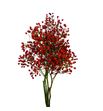 Rozen red cascade 50 - ROZMANHIP