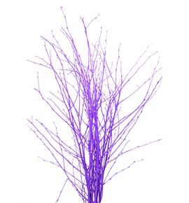Berk morado - BERMOR