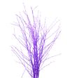 Berk morado - BERMOR