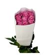 Rosa ecu hermosa 50 - REHER