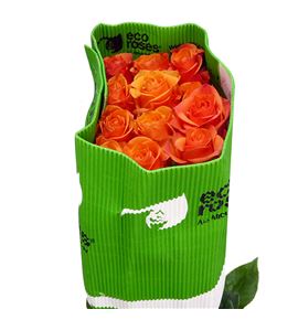 Rosa ecu joy 50 - REJOY
