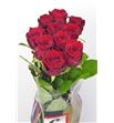 Rosa hol. red naomi 70 a2 - RGRREDNAO