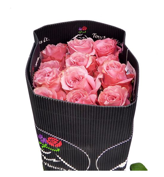Rosa ecu be sweet 60 - REBESWE