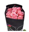 Rosa ecu be sweet 60 - REBESWE