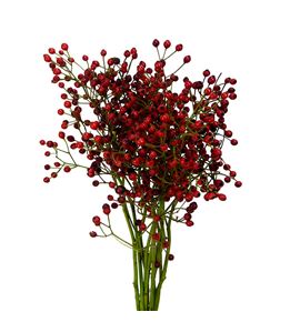 Rozen autumn spirit 50 - ROZAUTSPI