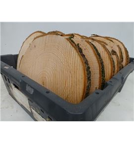 Rodaja tronco 15 - RODTRO