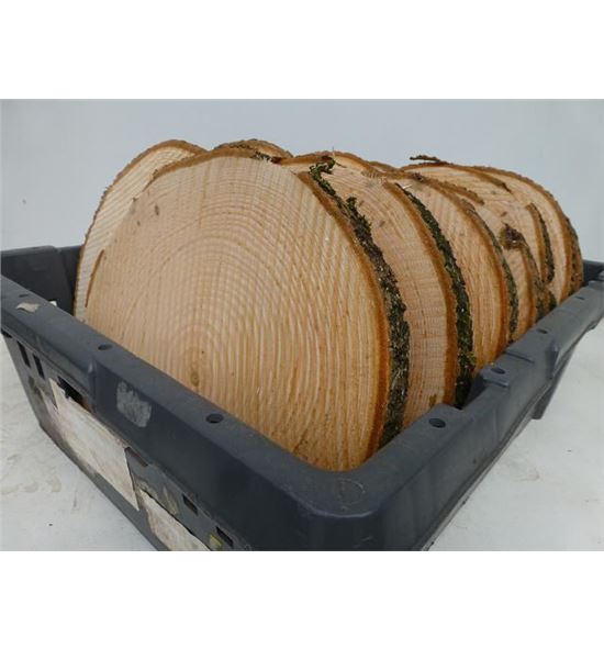 Rodaja tronco 20 - RODTRO