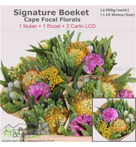 Bqt nutan rozet 40 - BQTNUTROZ40