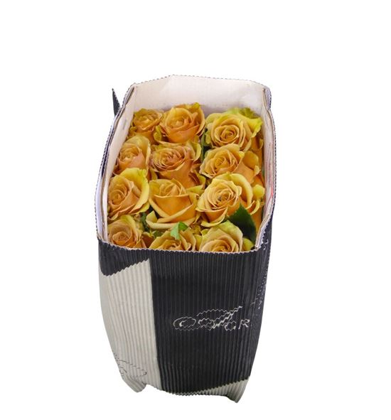 Rosa ecu combo 40 - RECOM