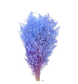 Ruscus fino preservado malva azul - RUSPREMALAZU