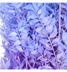 Ruscus fino preservado malva azul - RUSPREMALAZU