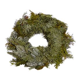 Corona nobilis 60 a2 - CORNOBA2