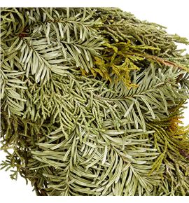 Corona nobilis 60 a2 - CORNOBA2