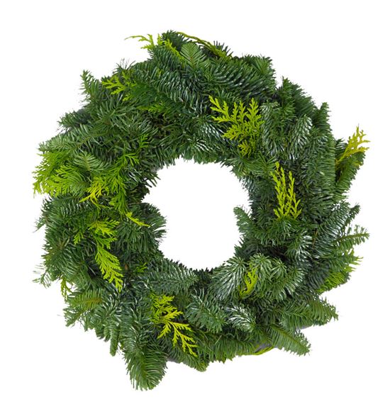 Corona nobilis/tuya 40 - CORNOBTUY