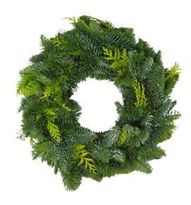 Corona nobilis/tuya 50 - CORNOBTUY