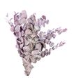 Eucaliptus cinerea light rosa 200gr - EUCCINLIGROS