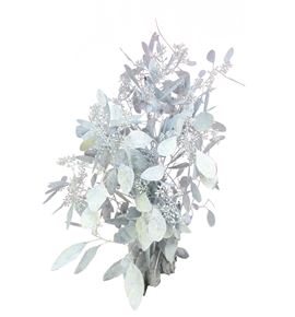 Eucaliptus populus blanco 200gr - EUPOPBLA