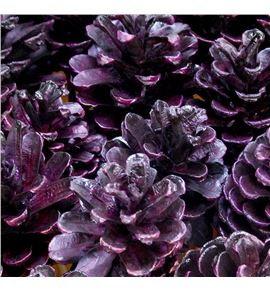 Piña auberg x40 - PINAUBPUR