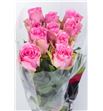 Rosa hol. lovely rhodos 50 - RGRLOVRHO