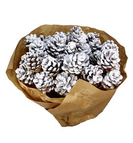 Piña nieve x10 - PINNIE