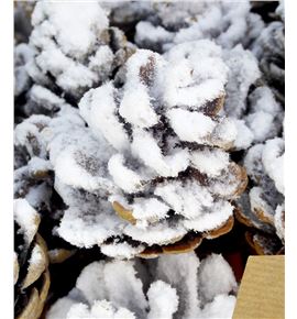 Piña nieve x10 - PINNIE