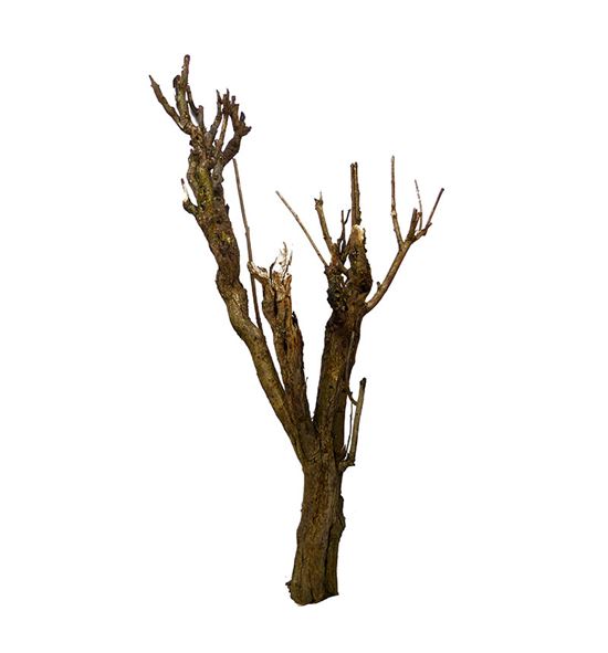 Seringenhout 60 - SER100