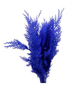 Tuya azul a2 - TUYAZU