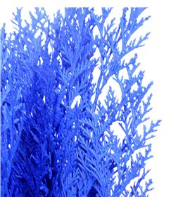 Tuya azul a2 - TUYAZU