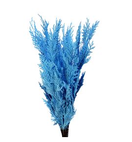 Tuya azul claro a2 - TUYAZUCLA