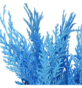 Tuya azul claro a2 - TUYAZUCLA