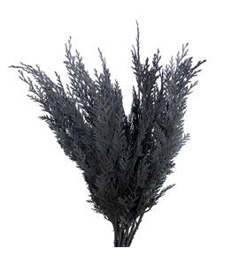 Tuya gris a2 - TUYGRI