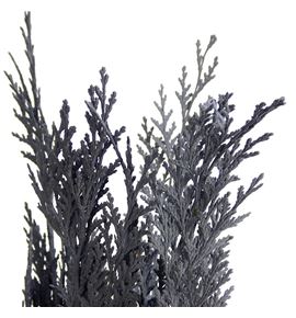 Tuya gris a2 - TUYGRI