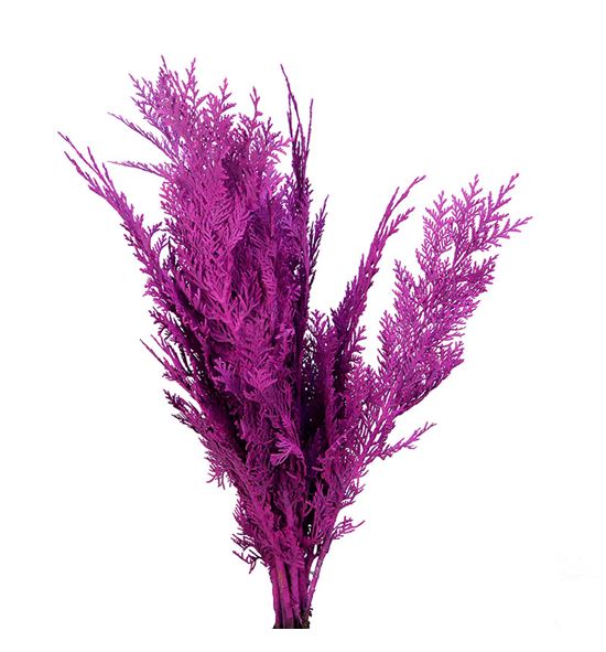 Tuya fucsia a2 - TUYFUC