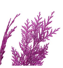 Tuya fucsia a2 - TUYFUC