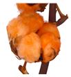 Algodon naranja - ALGNAR1