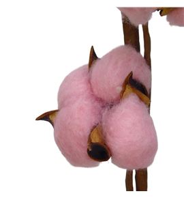 Algodon rosa claro - ALGROSCLA