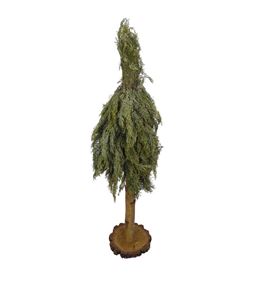 Arbol arizonica op 80 a2 - ARBARIOPA2