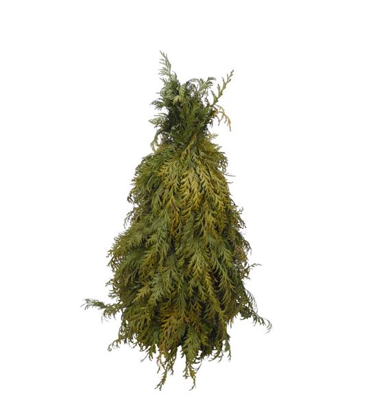 Arbol conifeer 40 a2 - ARBCONA2